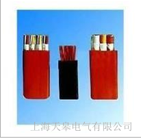 天皋電氣扁電纜-扁平軟電纜生產廠家