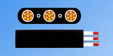 ���늚⏗���w�^�����o�׳�����ƽܛ��|�S�҃r��