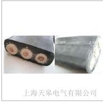 ���늚�����z�o�ױ���| �����z�o�ױ���|�S��