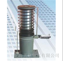 天皋電氣電梯專用油壓緩沖器